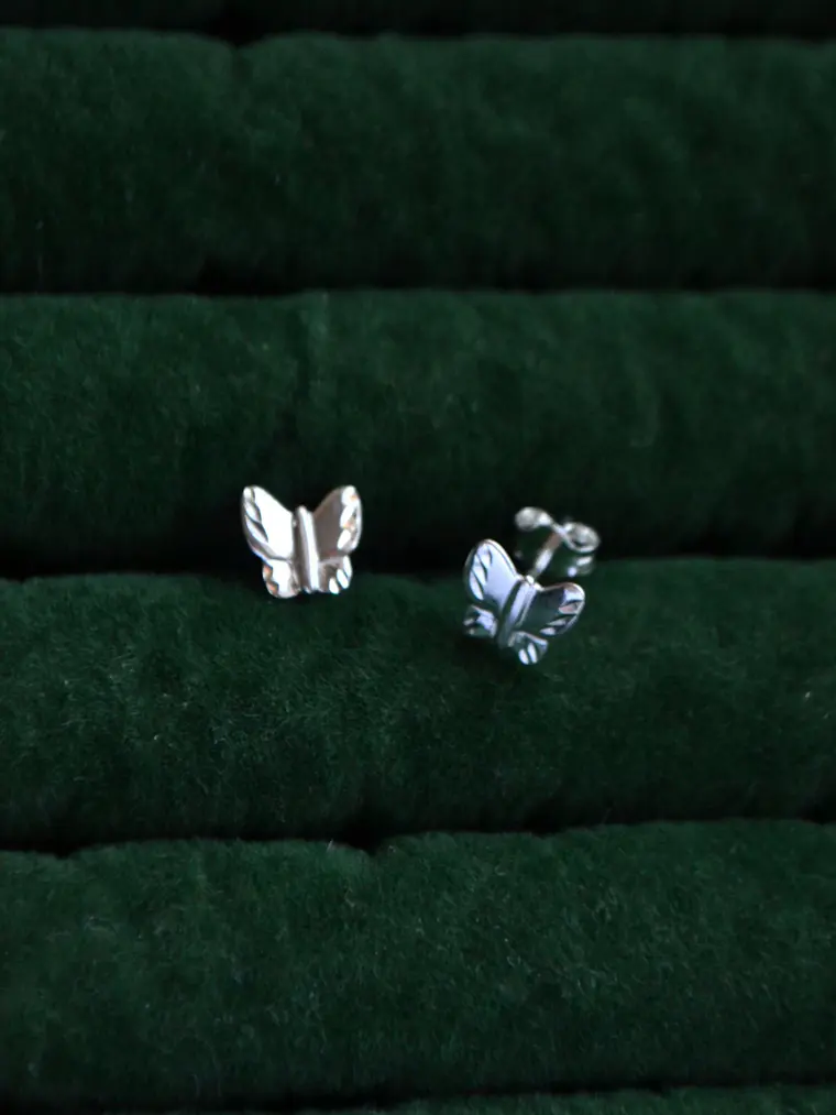 Aros Mariposa  3