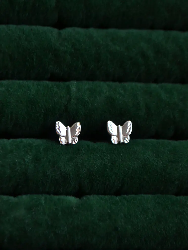 Aros Mariposa  1