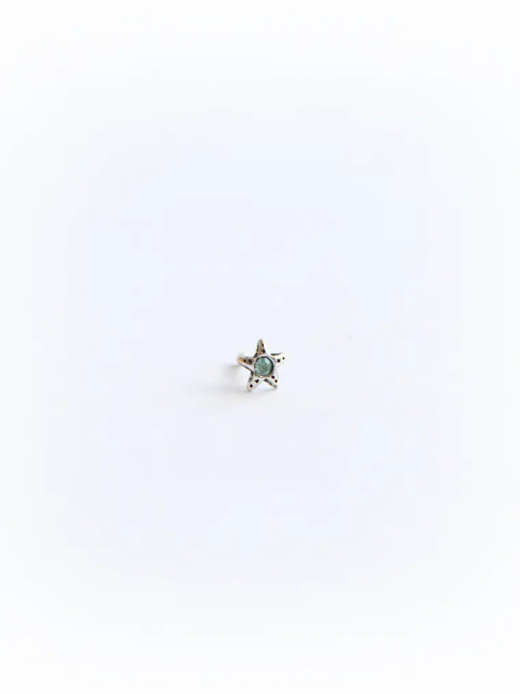 Piercing Nostril Estrella Cristal 1