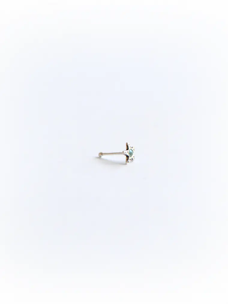 Piercing Nostril Estrella Cristal 2