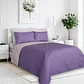 COLCHA ESTAMPADA DOBLE - Miniatura 11