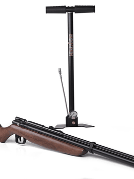 RIFLE BENJAMIN DISCOVERY BP9M22GP