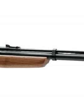 RIFLE BENJAMIN DISCOVERY BP9M22GP