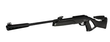 Rifle Gamo Whisper Elite cal 5,5 c/mira 3-9x40