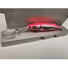 SALMO FRESH WATER  1