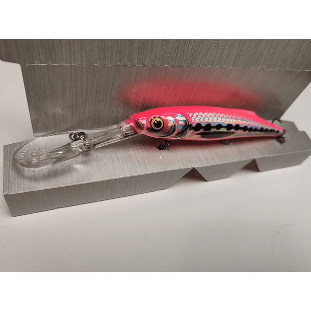 SALMO FRESH WATER  1