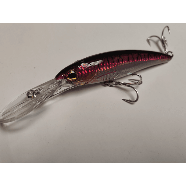 YOKOZUNA CIMARRON  2