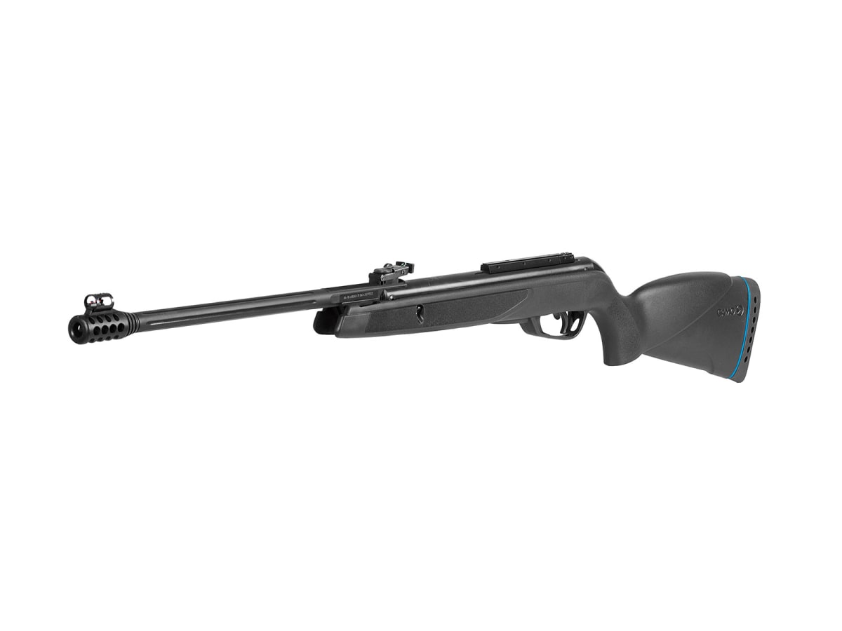 Rifle Gamo Black Bear IGT 5.5 + 250 postones Gamo