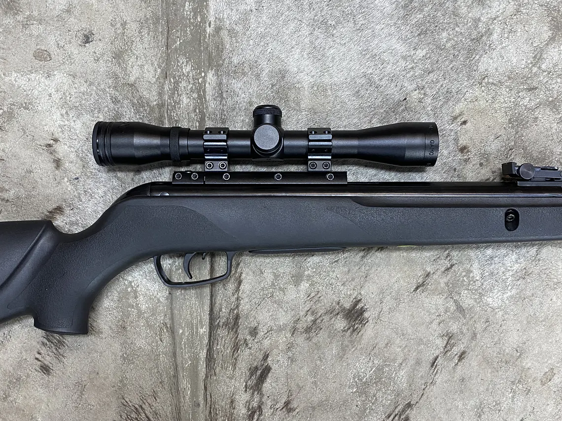 Gamo Big cat 1000-E Igt POSTON 3