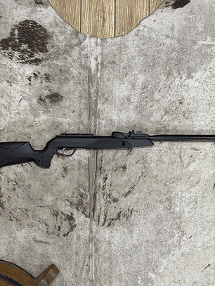 Gamo Speedster IGT 10x Gen2 POSTON