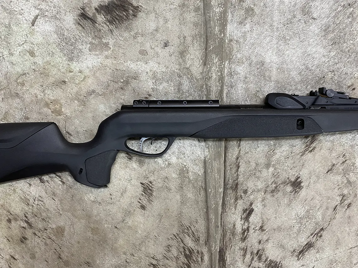 Gamo Speedster IGT 10x Gen2 POSTON 2