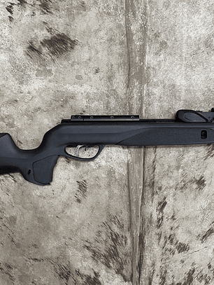 Gamo Speedster IGT 10x Gen2 POSTON