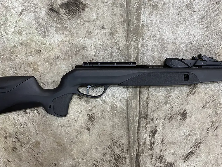 Gamo Speedster IGT 10x Gen2 POSTON 2