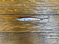 Yokozuna Shoto 40g  - Miniatura 3