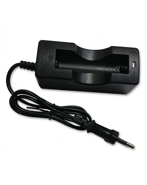 Cargador de Pilas 18650 Ewtto