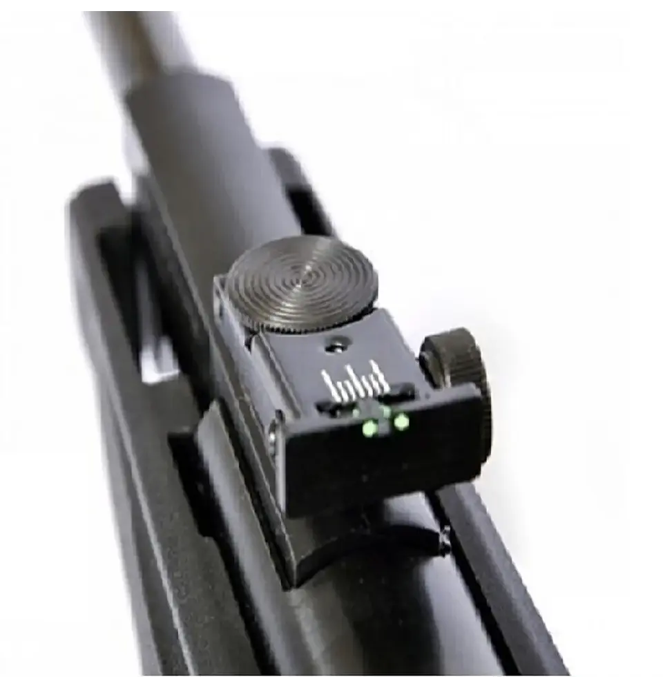 Rifle Gamo Big Cat 1000-E IGT 5.5 + mira 2