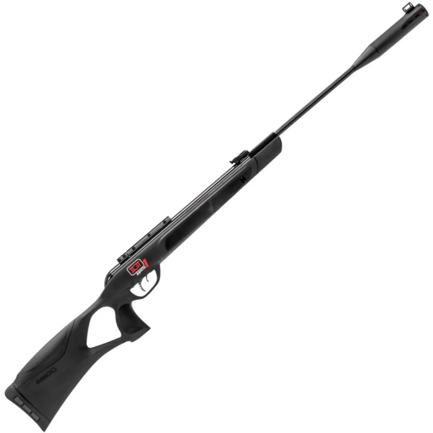Rifle Gamo Magnum 1250 Whisper IGT Mach1 5.5 Nitro 1