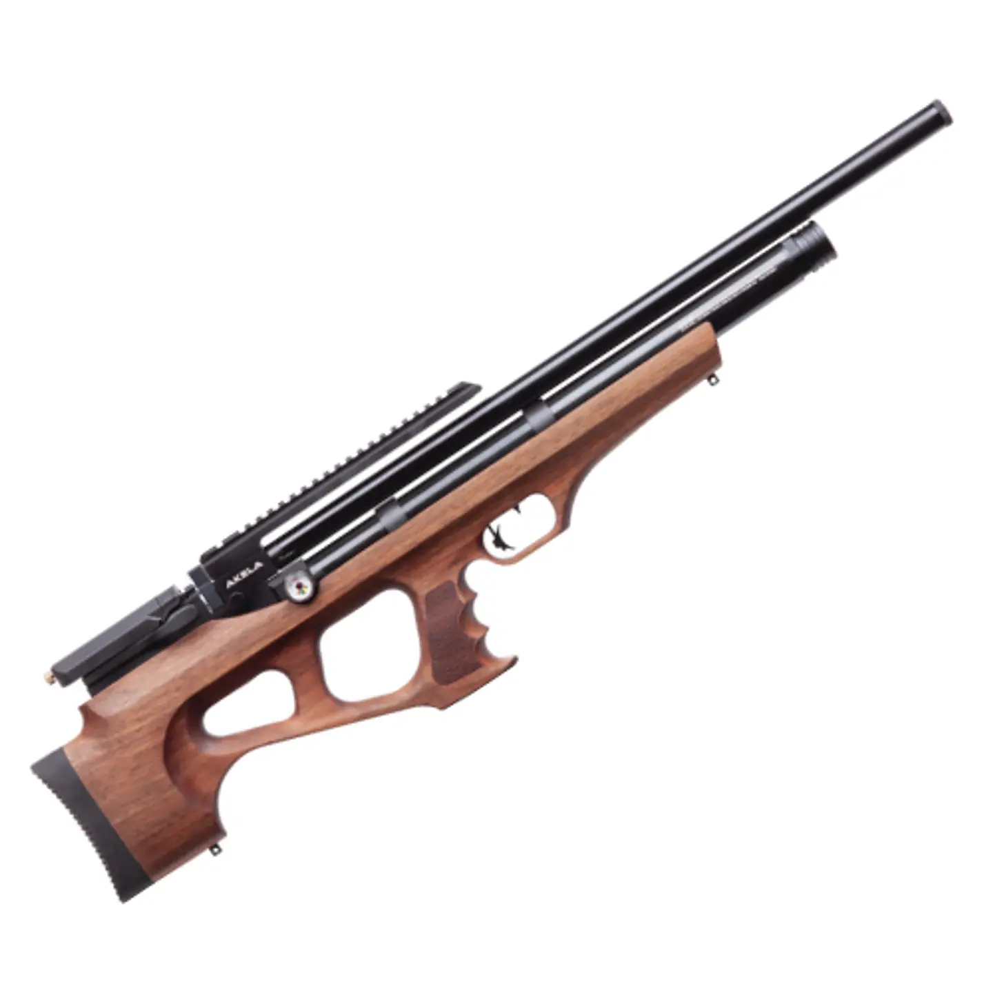 Benjamin Akela PCP 5.5 SI 1
