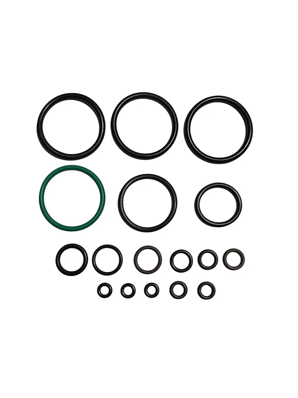 Set O-ring PR900 Comander 1