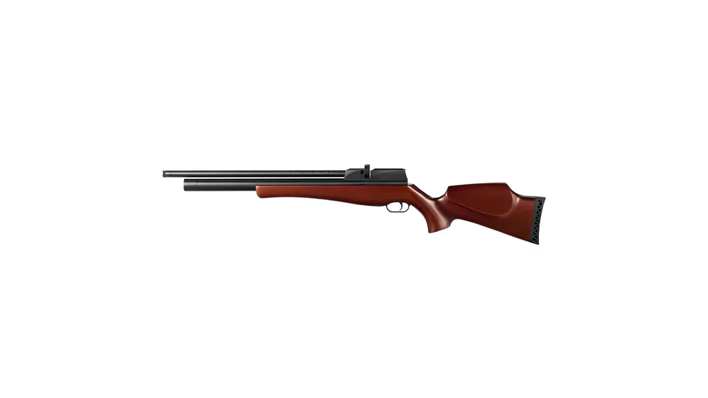 PCP QL-22 / Cal .22 1