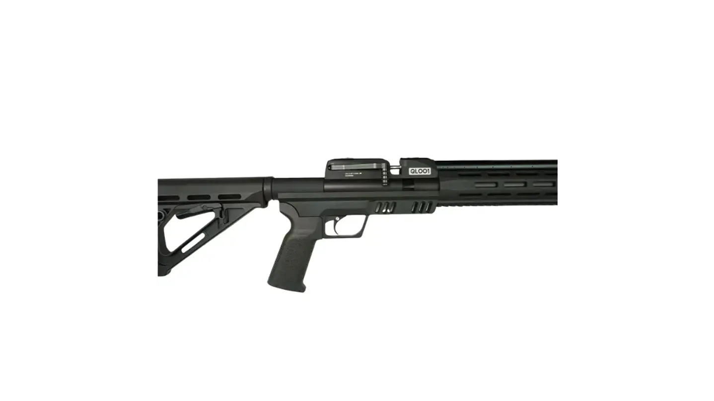 PCP QL-001 / Cal .22 2