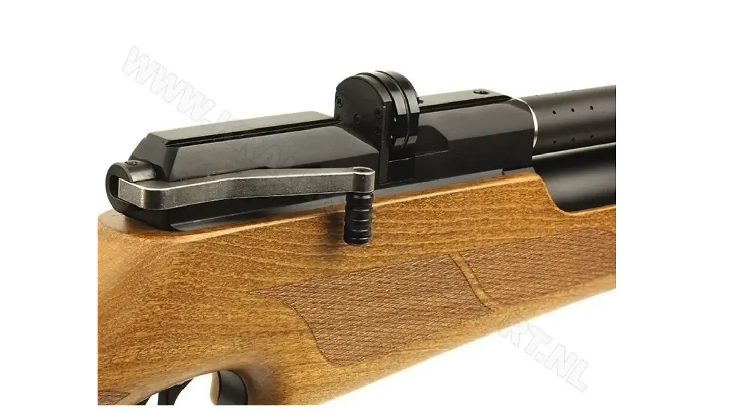 PCP M16 / Cal .22 2
