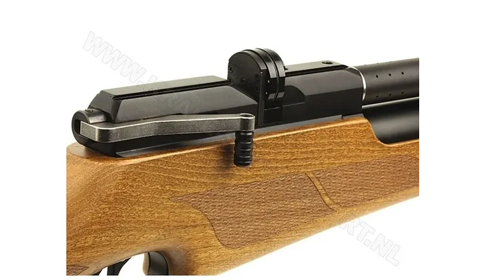 PCP M16 / Cal .22 2