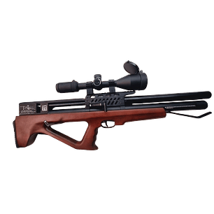 Orion  QM23 / Cal .22