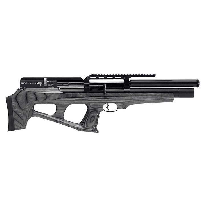 Riel Picatinny FX Wildcat 2