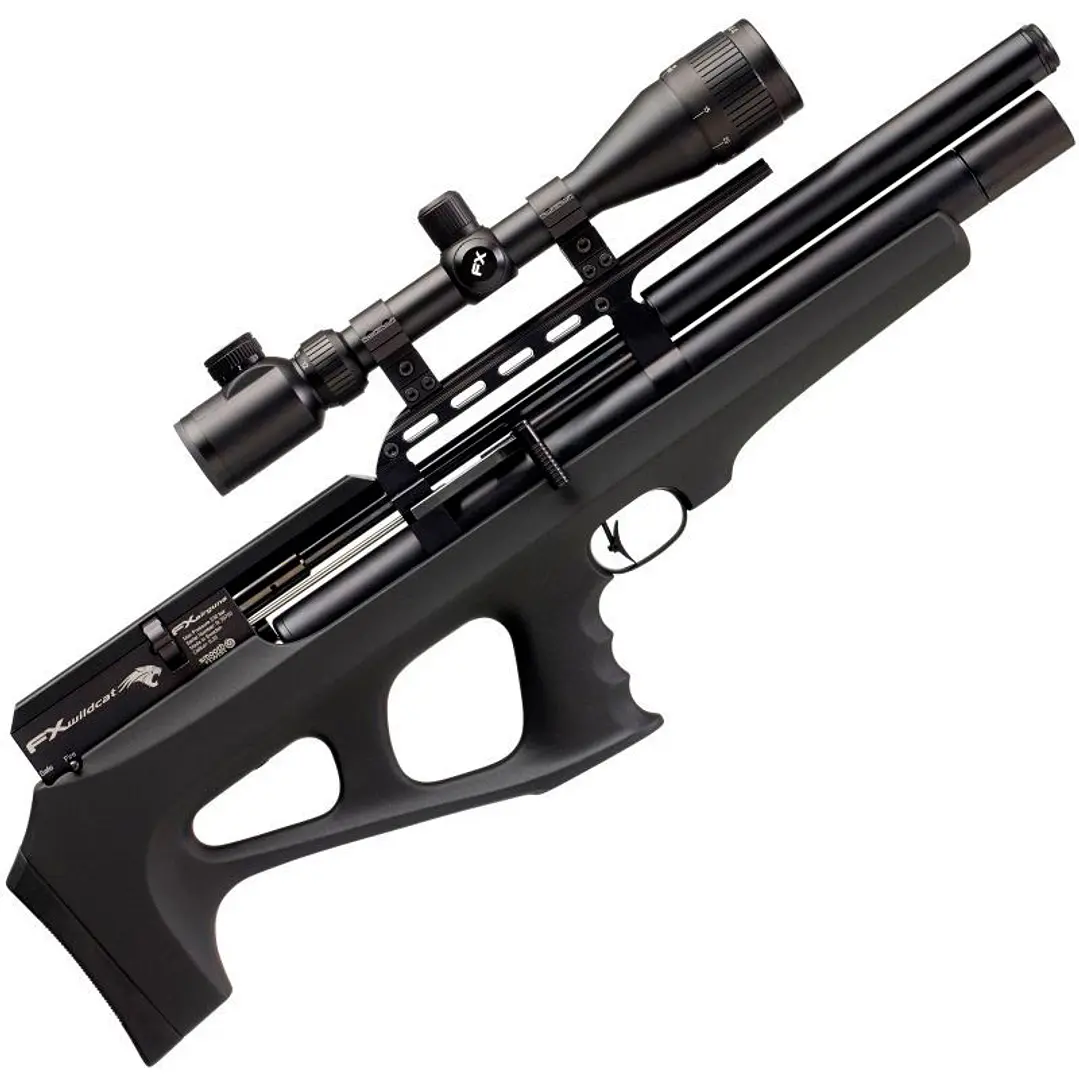 FX Wildcat MkI / Cal .22 1