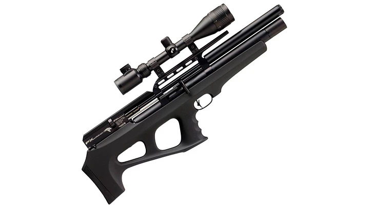FX Wildcat MkI / Cal .22 1