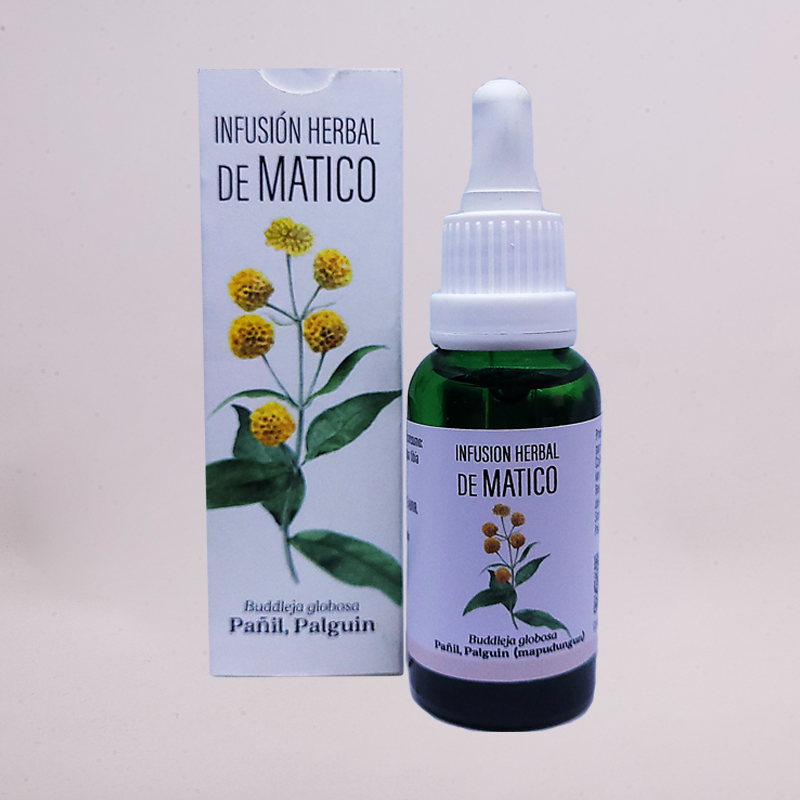Infusión de Matico
