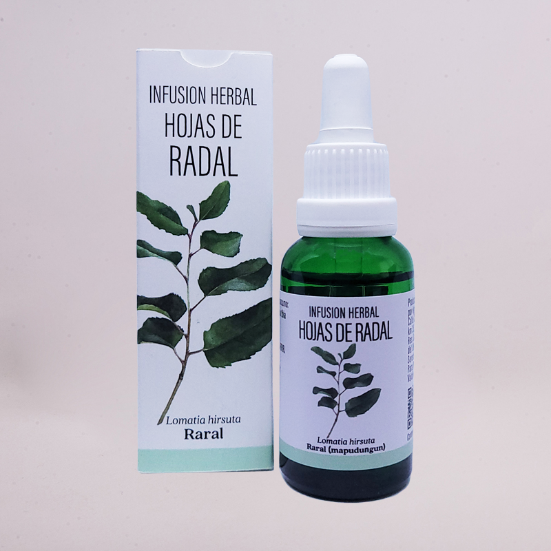 Infusión de Hojas de Radal