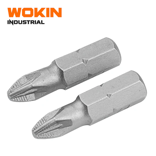 SET PUNTAS 2PCS PZ1X25MM WOKIN