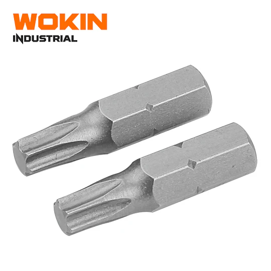 SET PUNTAS 2PCS TORX T25X25MM WOKIN