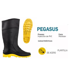 BOTA PVC PEGASUS NEGRA S/PUNTA 42 SPRO