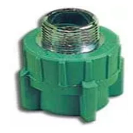 TERMINAL PPR 20 X 3/4 HE