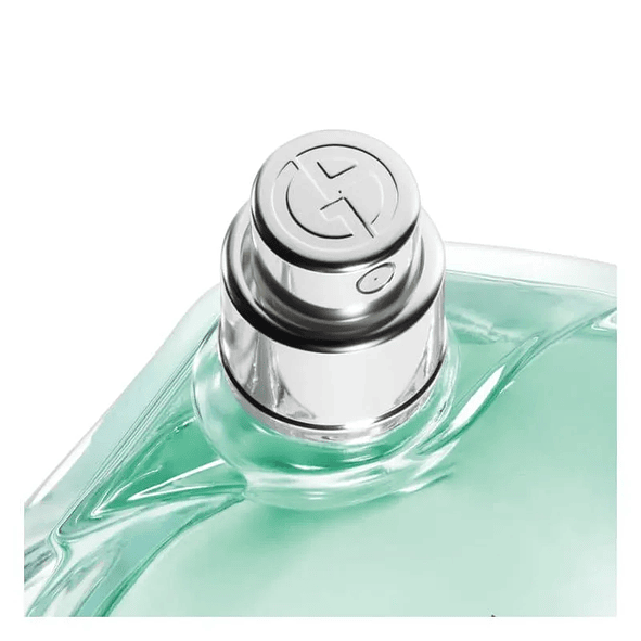Giorgio Armani Acqua Di Gioia Eau de Parfum 100ml mujer 3