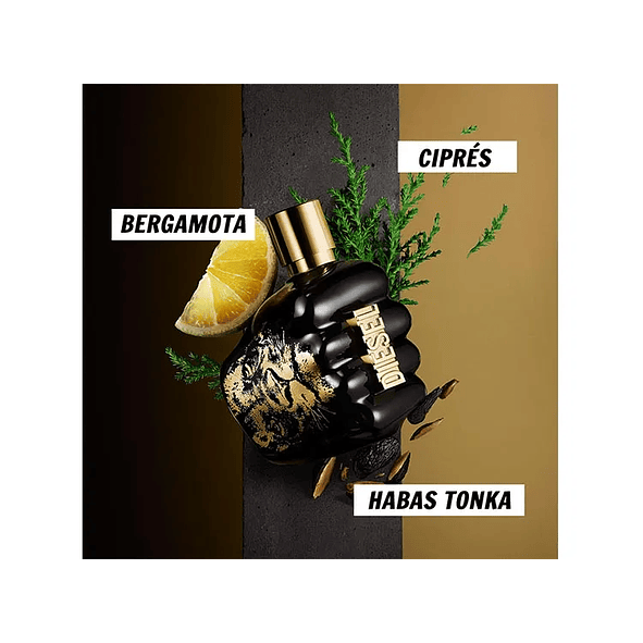 Diesel Spirit of The Brave edt 75ml Hombre  4