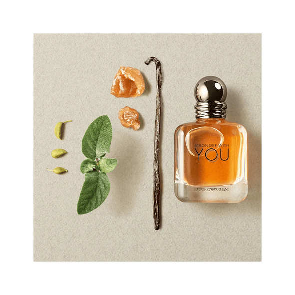 Giorgio Armani Stronger Whit You 100ml Hombre 3
