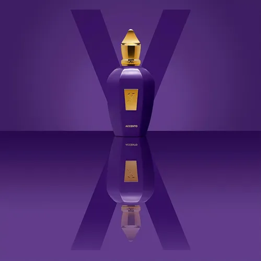 Xerjoff Accento 100ml Unisex 5