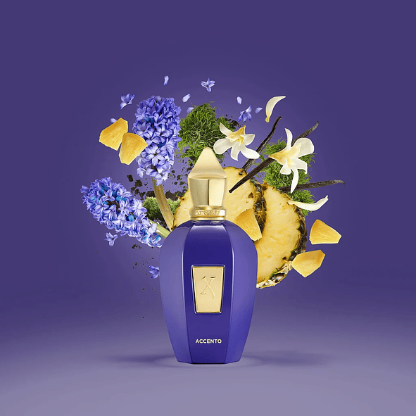 Xerjoff Accento 100ml Unisex 4