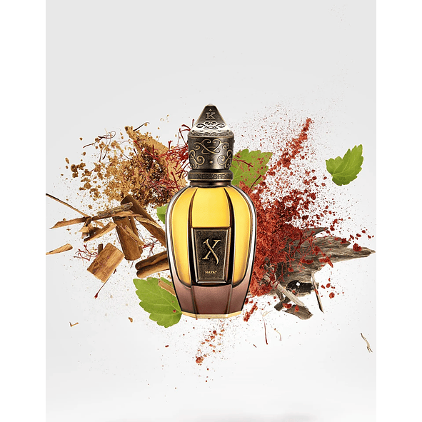 Xerjoff K Hayat Parfum 100ml Unisex 4