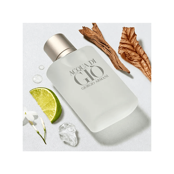 Giorgio Armani Acqua Di Gio Edt 100ml Hombre 3