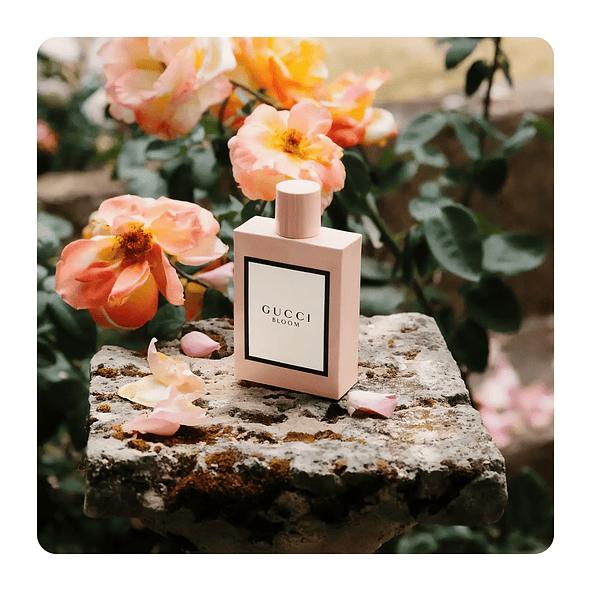 Gucci Bloom Edp 100ml Mujer 5