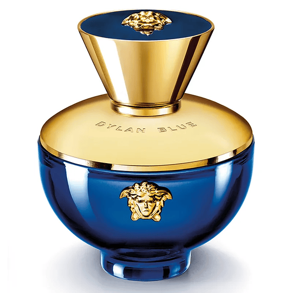 Versace Pour Femme Dylan Blue Parfum 100ml Mujer 1