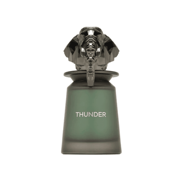 French Avenue Thunder Edp 100ml Hombre (Dupe Dior Homme Intense) 2