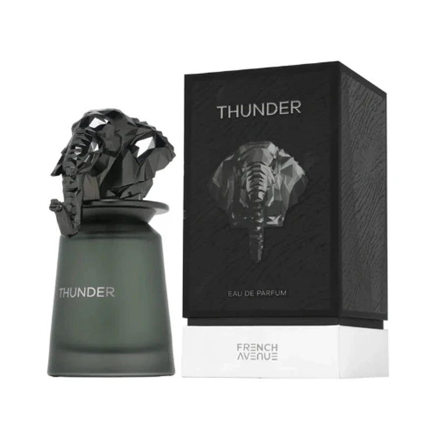French Avenue Thunder Edp 100ml Hombre (Dupe Dior Homme Intense) 1