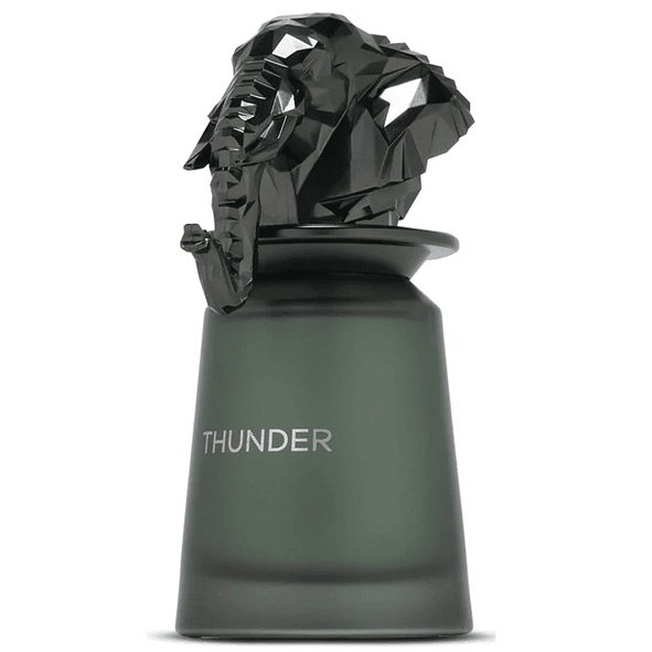 French Avenue Thunder Edp 100ml Hombre (Dupe Dior Homme Intense) 3