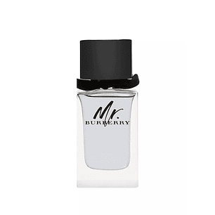 Burberry Mr Burberry Edt 100ml Hombre